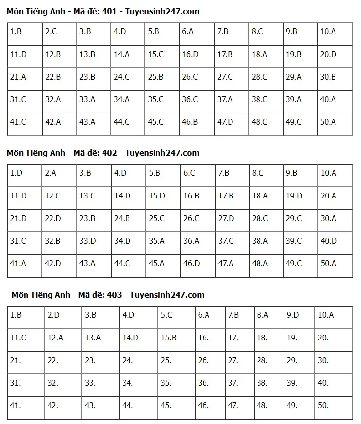 Gợi ý đáp án môn Tiếng Anh tốt nghiệp THPT 2024 - Ảnh 8.