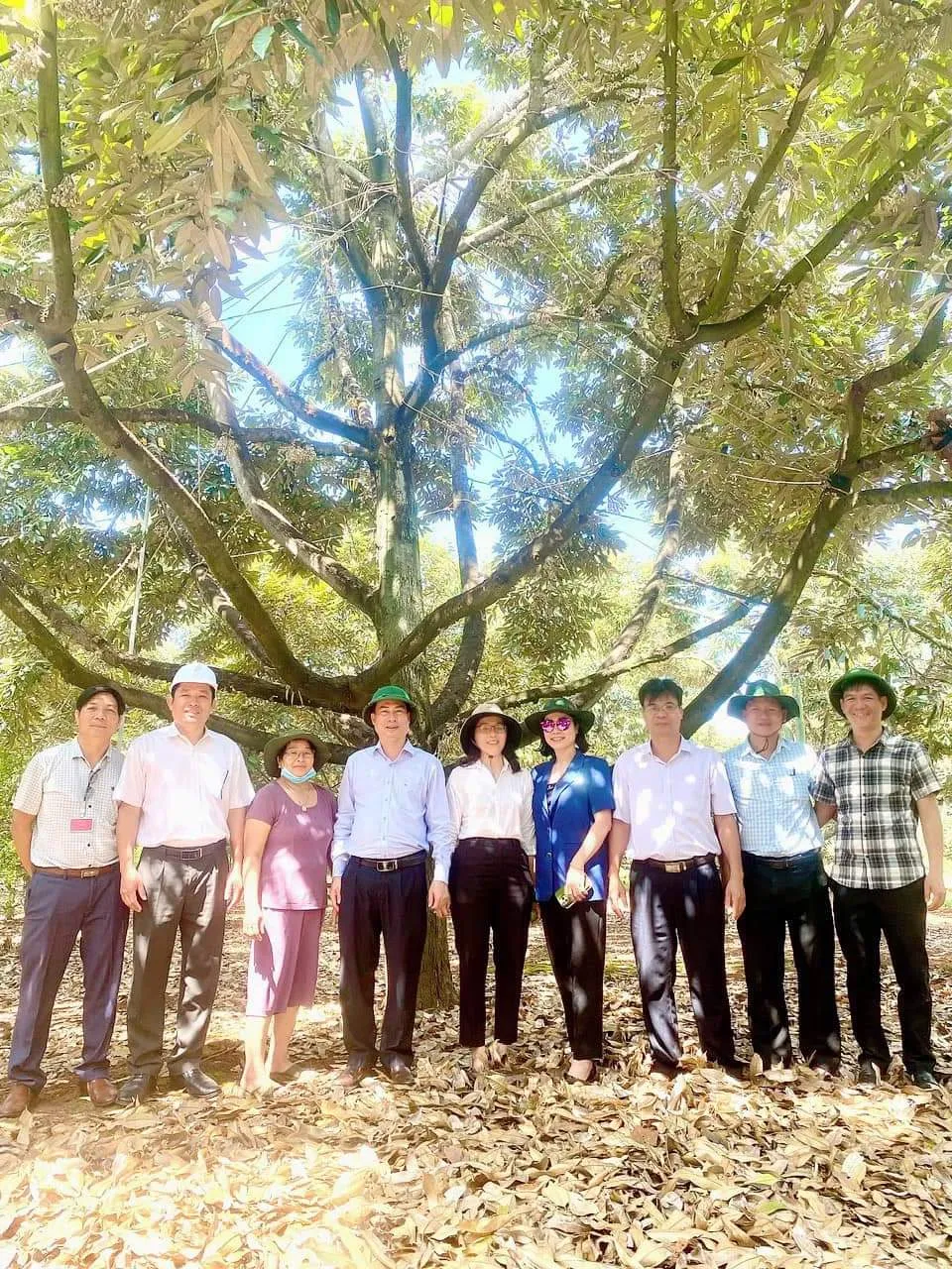 Nhiều chương tr&igrave;nh hấp dẫn ở Lễ hội Sầu ri&ecirc;ng Kr&ocirc;ng Pắc lần 2 - 2024 - Ảnh 3.