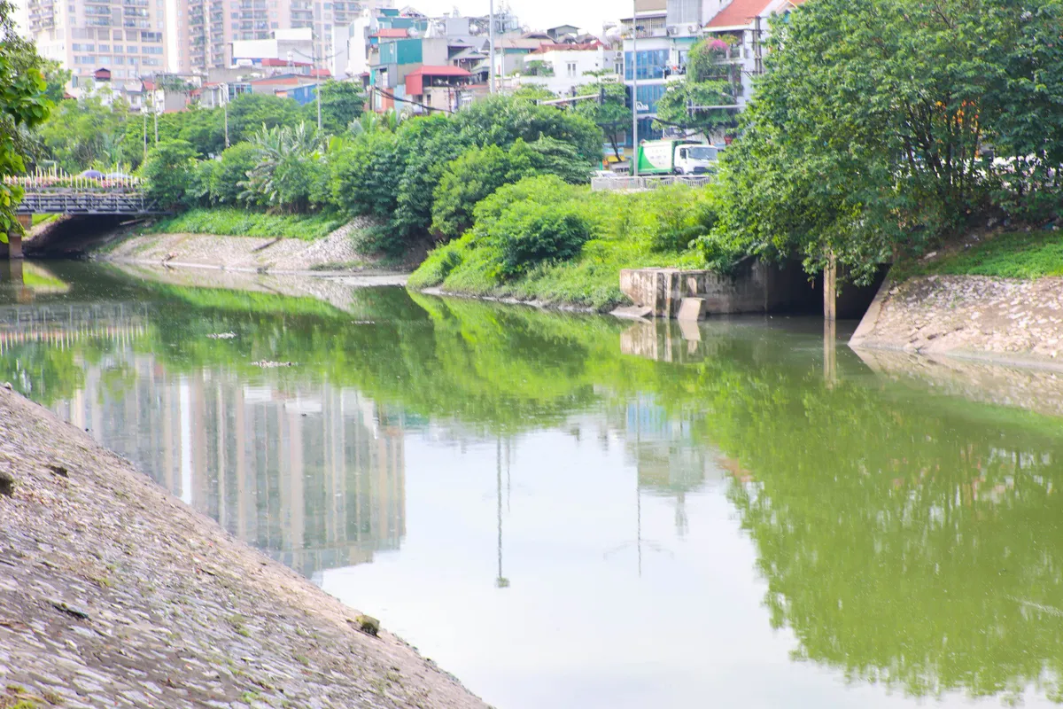 Lý giải nguyên nhân nước sông Tô Lịch bỗng chuyển màu xanh - Ảnh 2.