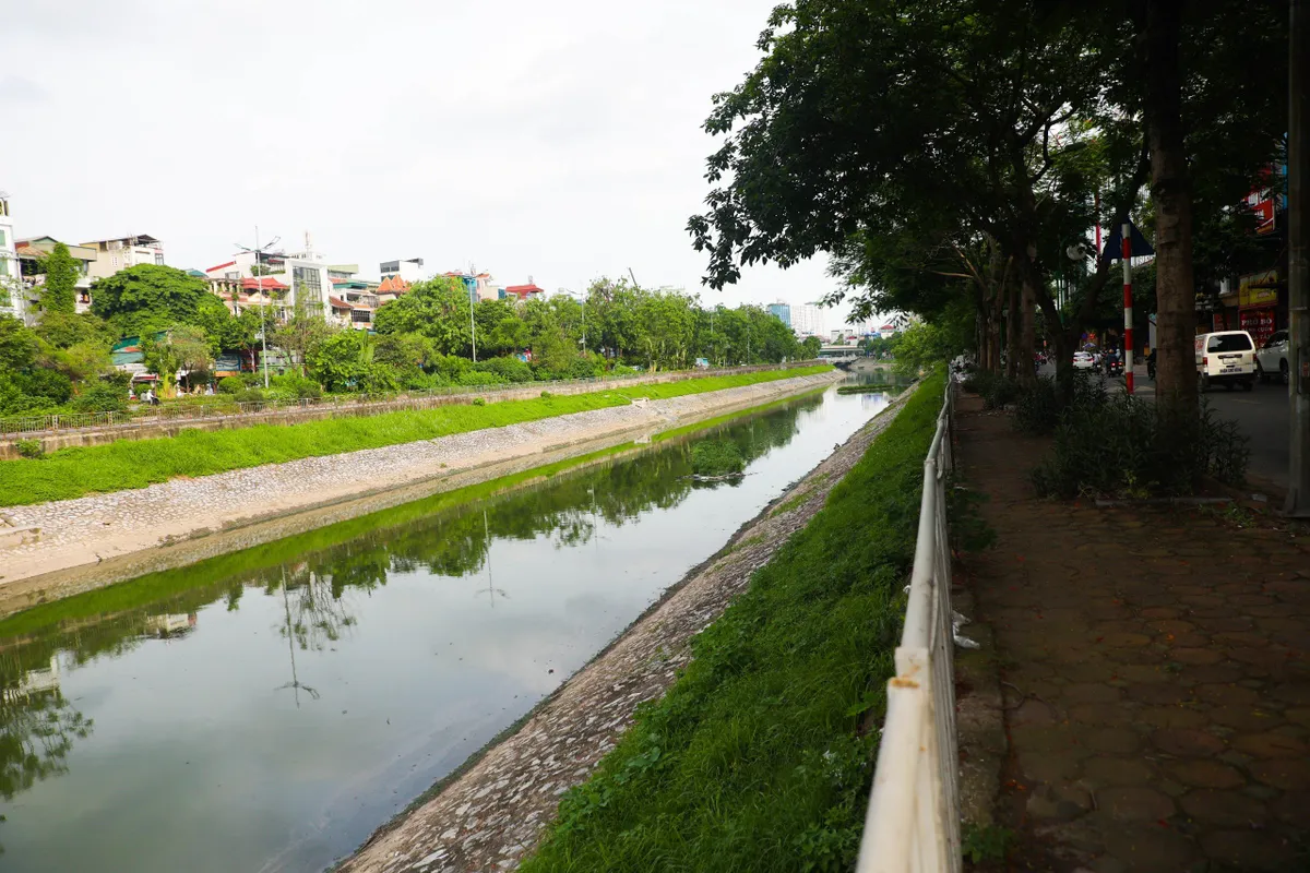 Lý giải nguyên nhân nước sông Tô Lịch bỗng chuyển màu xanh - Ảnh 3.