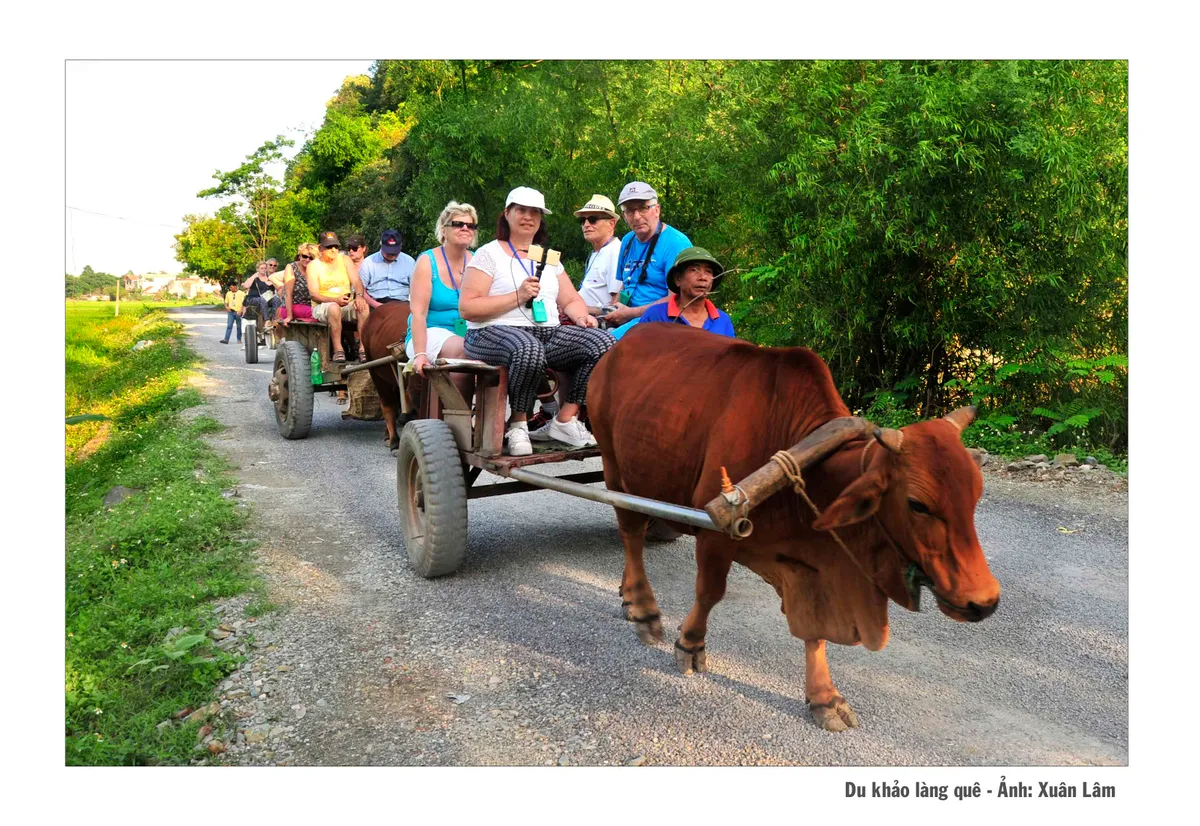 Miễn thị thực cho công dân Ba Lan, Séc và Thụy Sĩ đi du lịch theo tour đến hết năm 2025 - Ảnh 1.