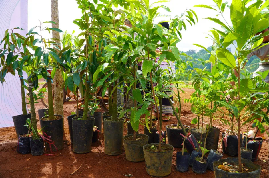 Menitems trao tặng 2.000 c&acirc;y giống, hỗ trợ sinh kế cho người d&acirc;n L&acirc;m Đồng - Ảnh 4.