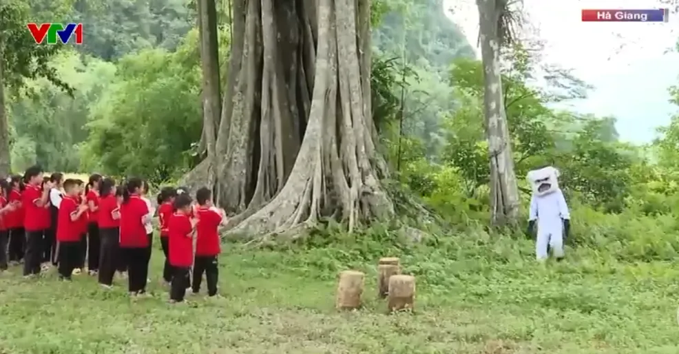 H&agrave; Giang bảo tồn voọc mũi hếch - Ảnh 1.