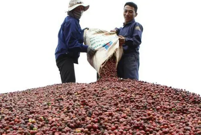Xuất khẩu nông lâm thủy sản 4 tháng đầu năm đạt 23,04 tỷ USD - Ảnh 2.