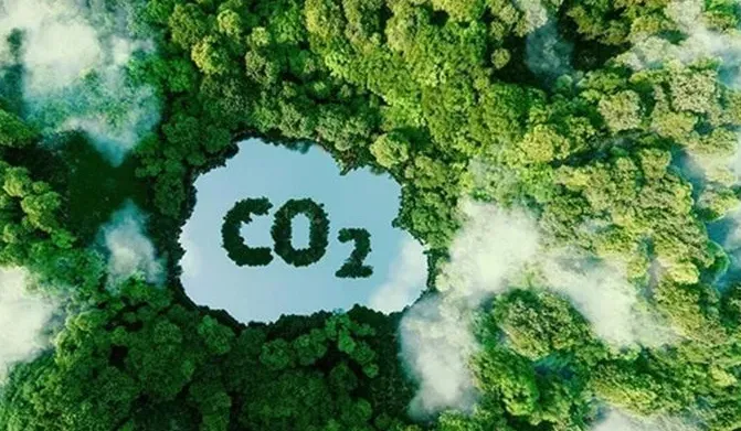 Thu giữ và lưu trữ CO2 - Chìa khóa hướng tới Net Zero - Ảnh 1.
