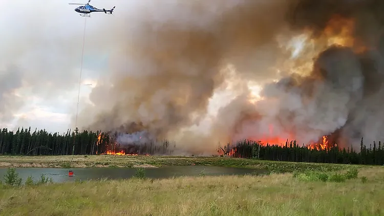 Cháy rừng ở tỉnh Alberta, chính quyền Canada ban hành lệnh hạn chế đốt lửa - Ảnh 1.