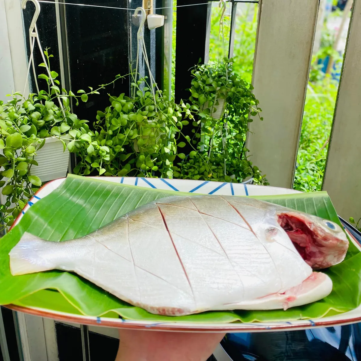 Đổi vị bữa ăn với c&aacute; chim nướng muối ớt - Ảnh 1.