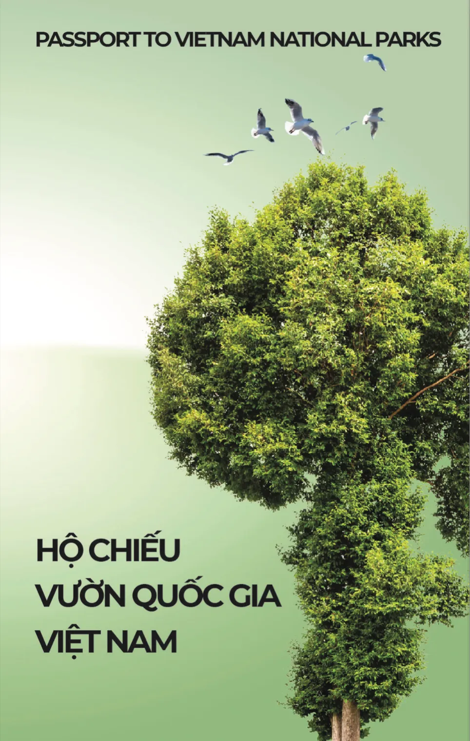 Hộ chiếu Vườn quốc gia – Cầu nối giữa con người với thiên nhiên - Ảnh 1.