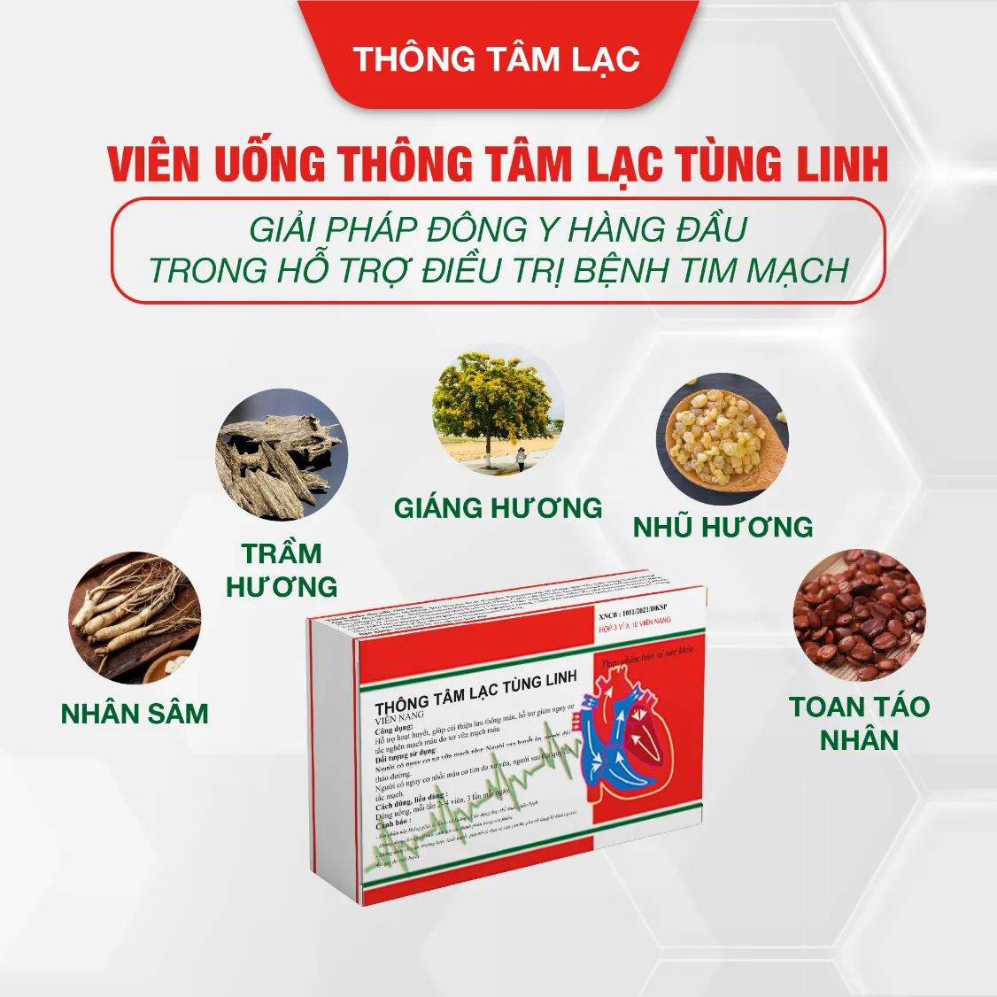 Viên uống Thông Tâm Lạc Tùng Linh - Giải pháp hỗ trợ điều trị bệnh tim mạch - Ảnh 1.