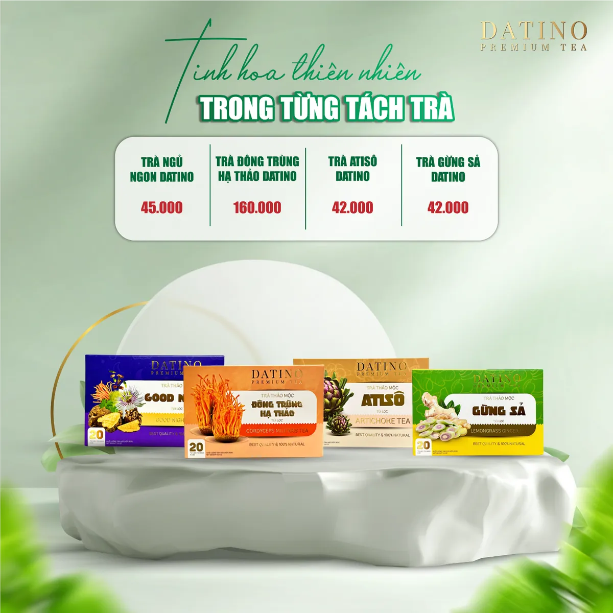 Giấc ngủ là chìa khóa của thành công và hạnh phúc từ Good Night Datino Premium Tea - Ảnh 4.