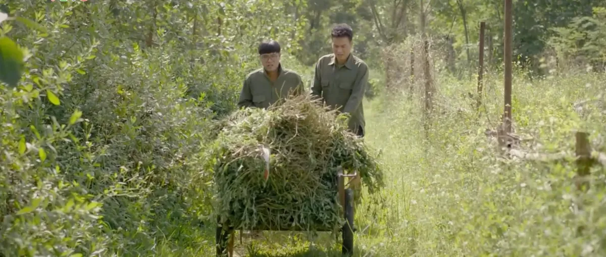 Vui lên nào anh em ơi - Tập 6:  Bị cả làng hắt hủi, bộ ba Tiến - Hưng - Thắng quyết chí làm giàu - Ảnh 6.