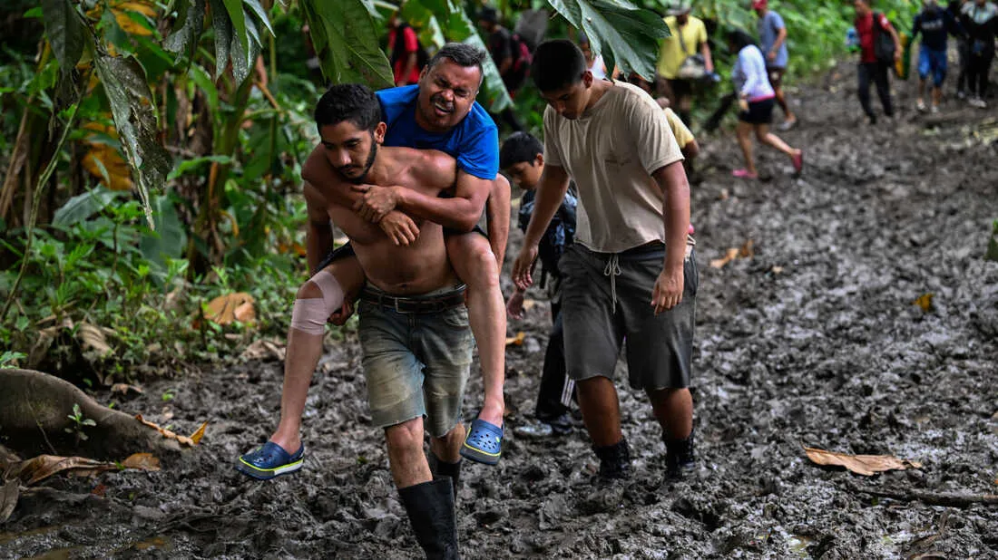 Panama bắt đầu trục xuất người di cư băng qua rừng rậm tử thần Darien Gap - Ảnh 1.