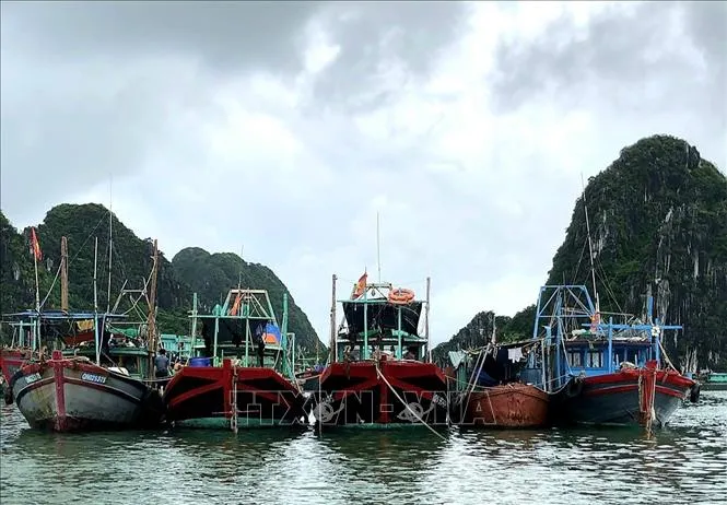 Quảng Ninh sẽ cấm biển từ 12 giờ ng&agrave;y 22/7 - Ảnh 1.