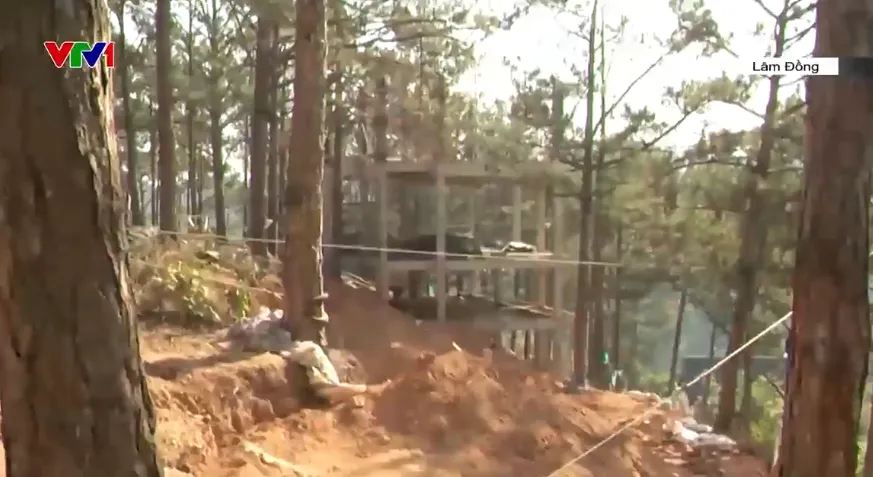 Cho thu&ecirc; rừng l&agrave;m dự &aacute;n kh&ocirc;ng hiệu quả c&ograve;n g&acirc;y mất rừng - Ảnh 2.