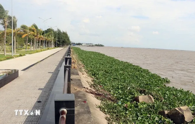 Kiên Giang có 21 điểm sạt lở bờ biển với tổng chiều dài khoảng 122km - Ảnh 2.