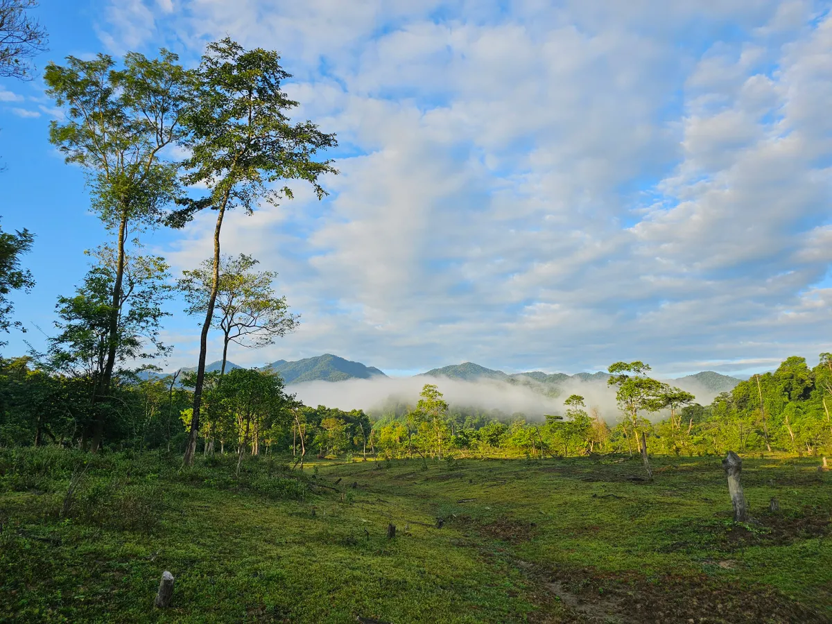 Kh&aacute;m ph&aacute; Vườn quốc gia Vũ Quang - Vườn di sản ASEAN - Ảnh 3.