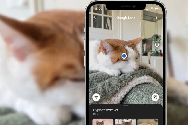 Google Chrome cập nhật tính năng tìm kiếm mới với Google Lens - Ảnh 1.