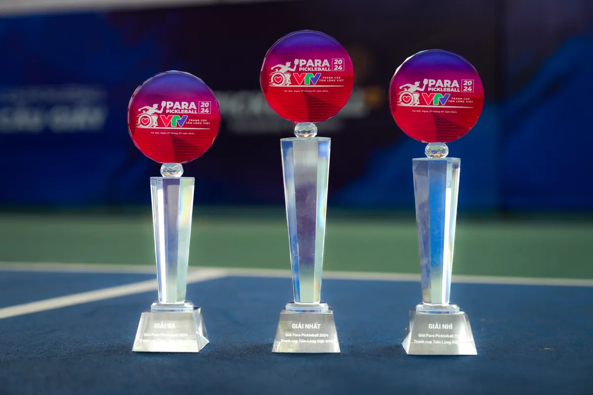 “Para Pickleball 2024 tranh cúp Tấm lòng Việt VTV” khép lại với những trận đấu ấn tượng - Ảnh 1.