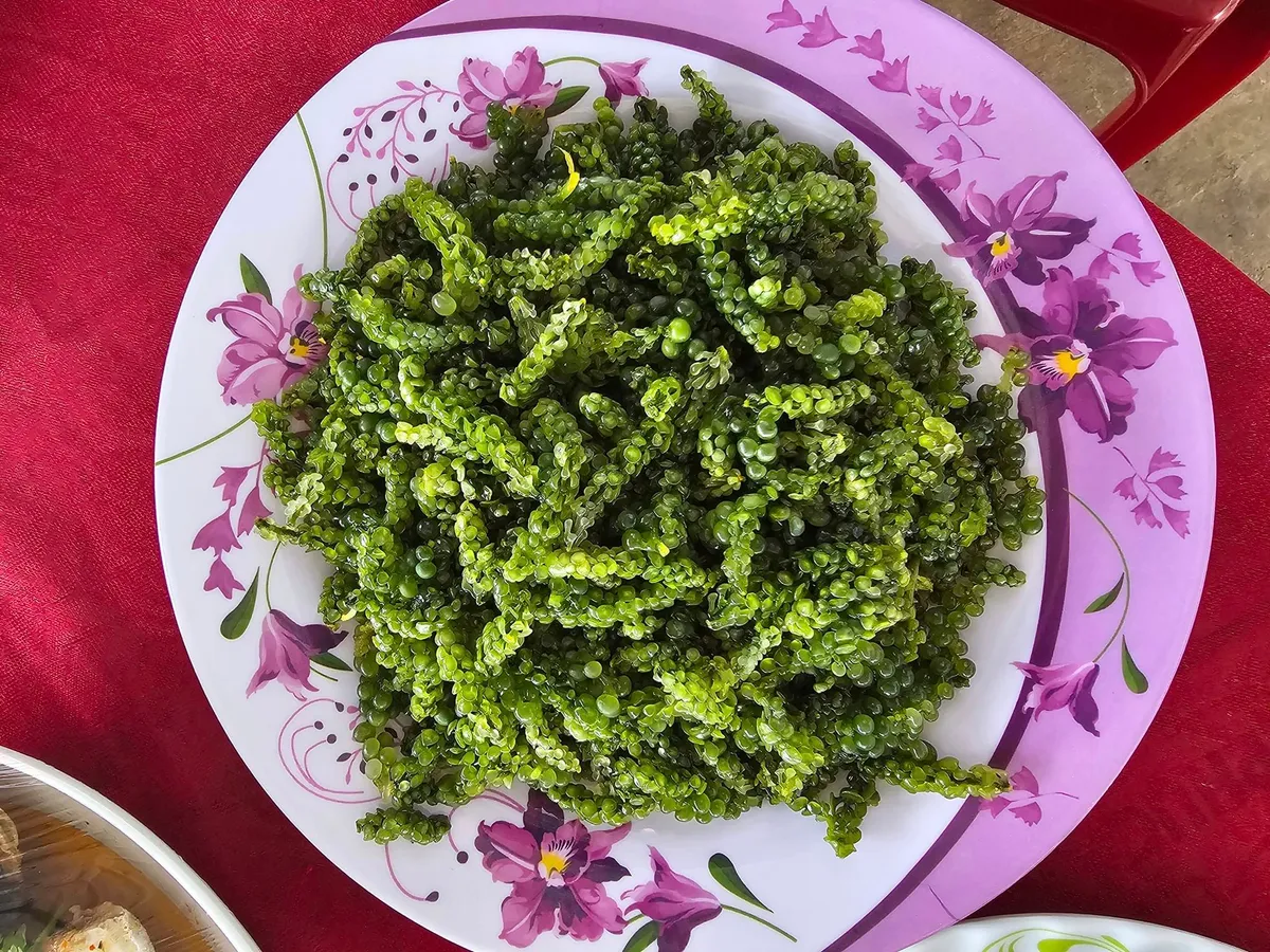 Bình yên Cồn Cỏ - Ảnh 5.
