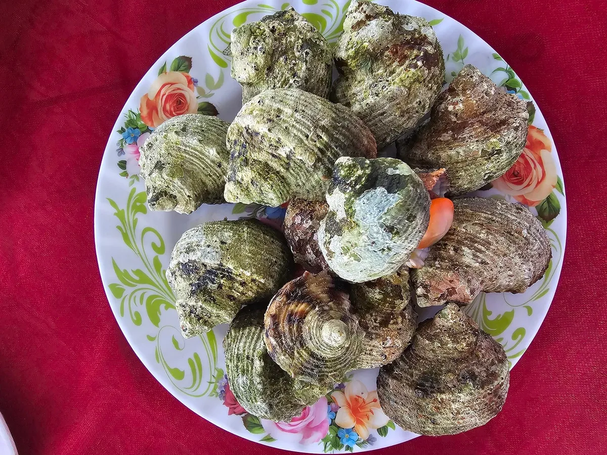 Bình yên Cồn Cỏ - Ảnh 11.