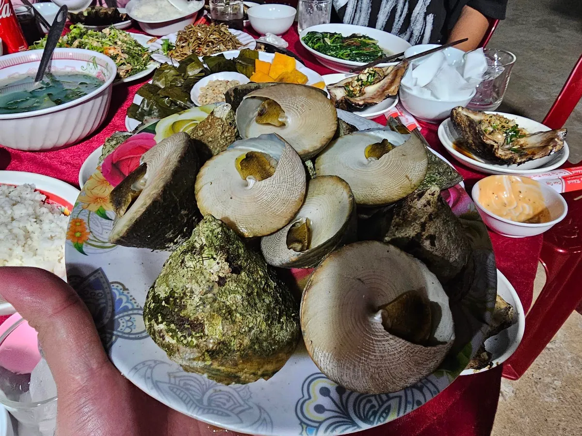 Bình yên Cồn Cỏ - Ảnh 14.