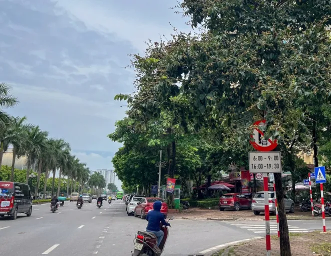 Biển báo giao thông “lấp ló” làm khó người đi đường - Ảnh 1.