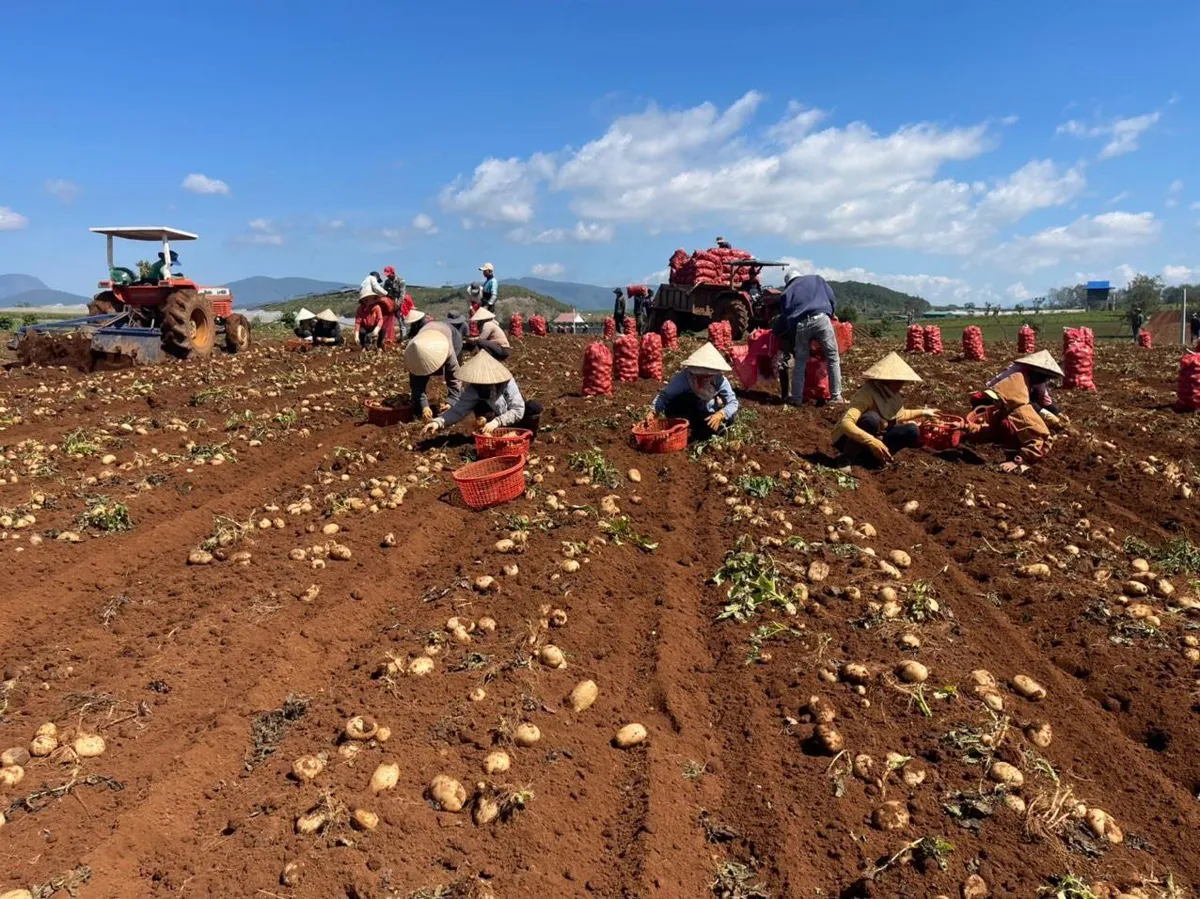 PepsiCo Foods x&acirc;y dựng chuỗi gi&aacute; trị bền vững th&ocirc;ng qua nh&agrave; m&aacute;y mới tại H&agrave; Nam - Ảnh 4.
