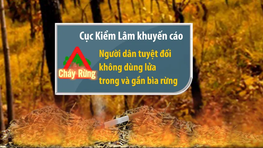 Miền Trung nắng nóng kéo dài, hơn 70 điểm có nguy cơ cháy rừng - Ảnh 3.