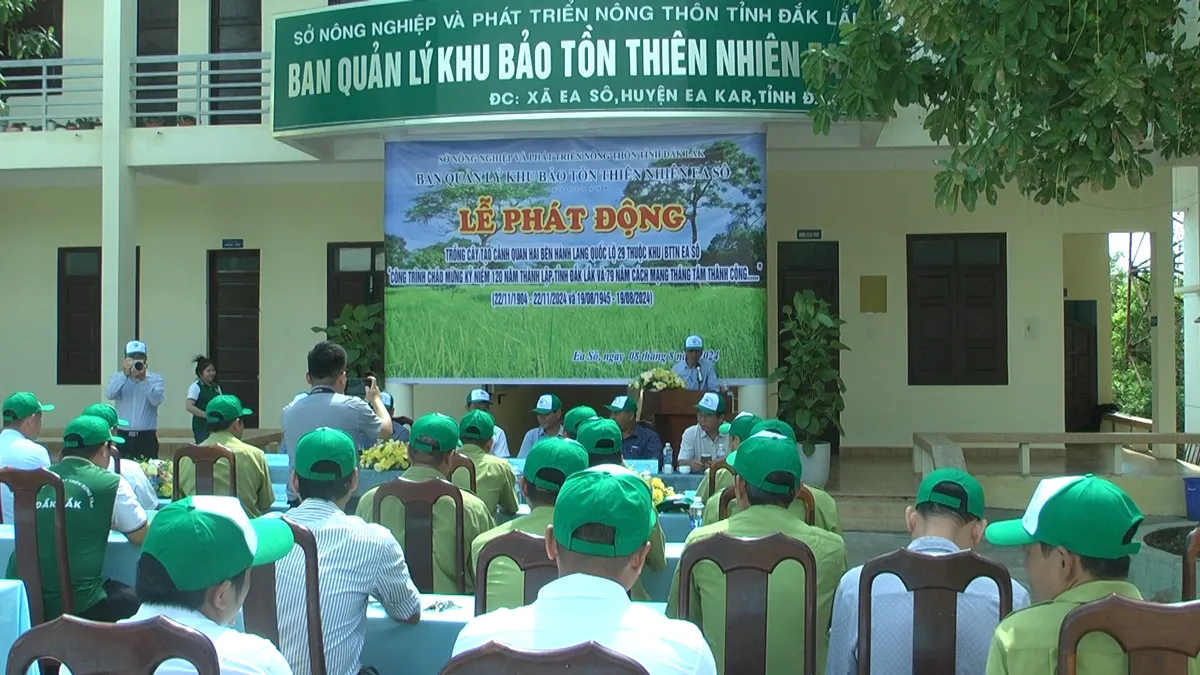 Trồng cây tạo cảnh quan tuyến quốc lộ đi qua Khu bảo tồn Ea Sô - Ảnh 1. Trồng cây tạo cảnh quan tuyến quốc lộ đi qua Khu bảo tồn Ea Sô - Ảnh 1.