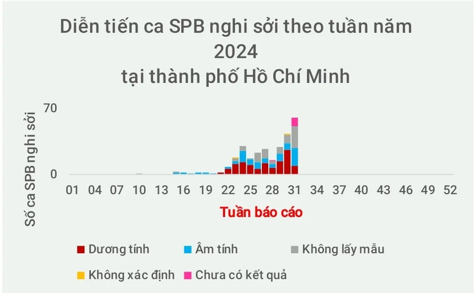 Dịch sởi: Nguy cơ hiện hữu - cần hành động ngay - Ảnh 2.