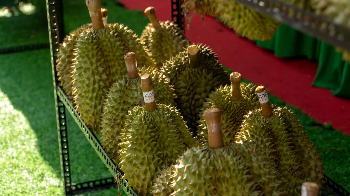 Kh&aacute;nh Sơn rực rỡ sắc m&agrave;u lễ hội tr&aacute;i c&acirc;y, đ&oacute;n ch&agrave;o du kh&aacute;ch thập phương - Ảnh 4.