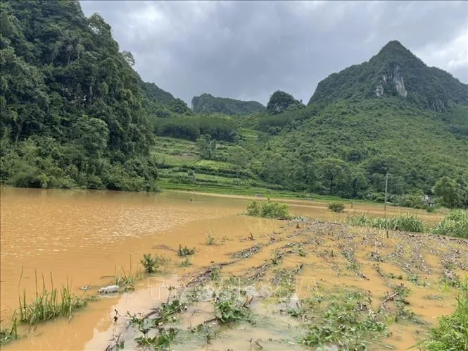 Cao Bằng: Mưa to làm ngập úng cục bộ, sạt lở đất - Ảnh 4.