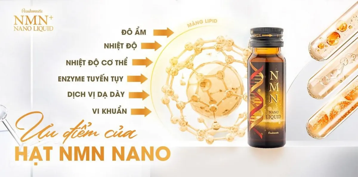 NMN Nanocapsule - Công nghệ mới hỗ trợ bảo vệ sức khỏe, kéo dài tuổi thọ từ Nhật Bản - Ảnh 1.