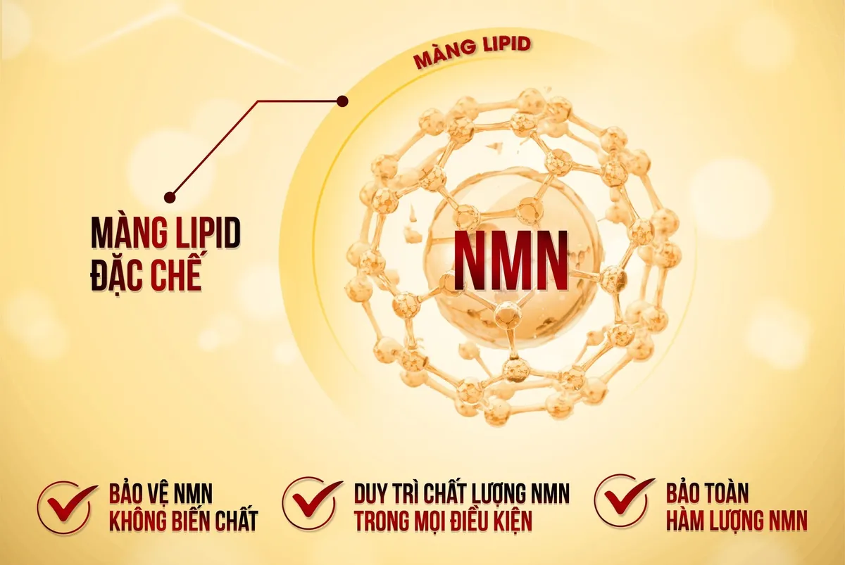 NMN Nanocapsule - Công nghệ mới hỗ trợ bảo vệ sức khỏe, kéo dài tuổi thọ từ Nhật Bản - Ảnh 2.