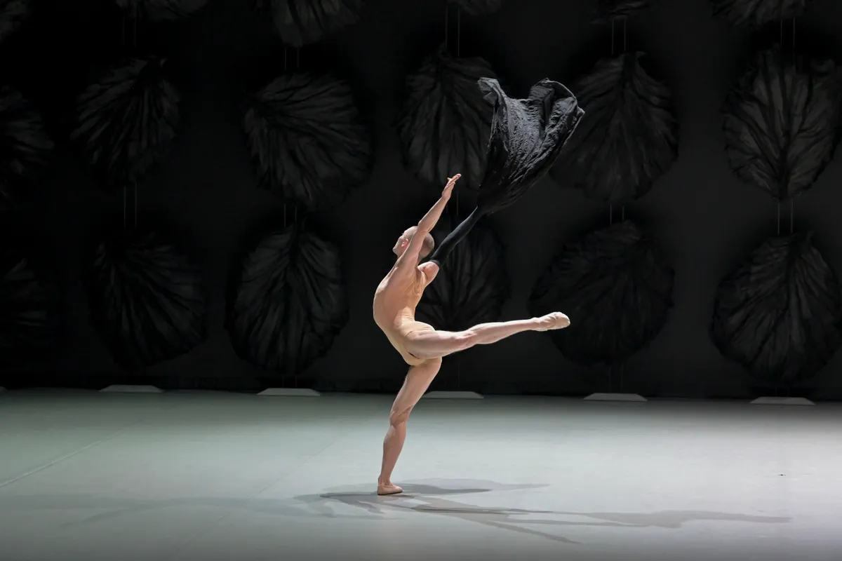 Vở ballet The Season lần đầu ti&ecirc;n được giới thiệu tại Việt Nam - Ảnh 1.