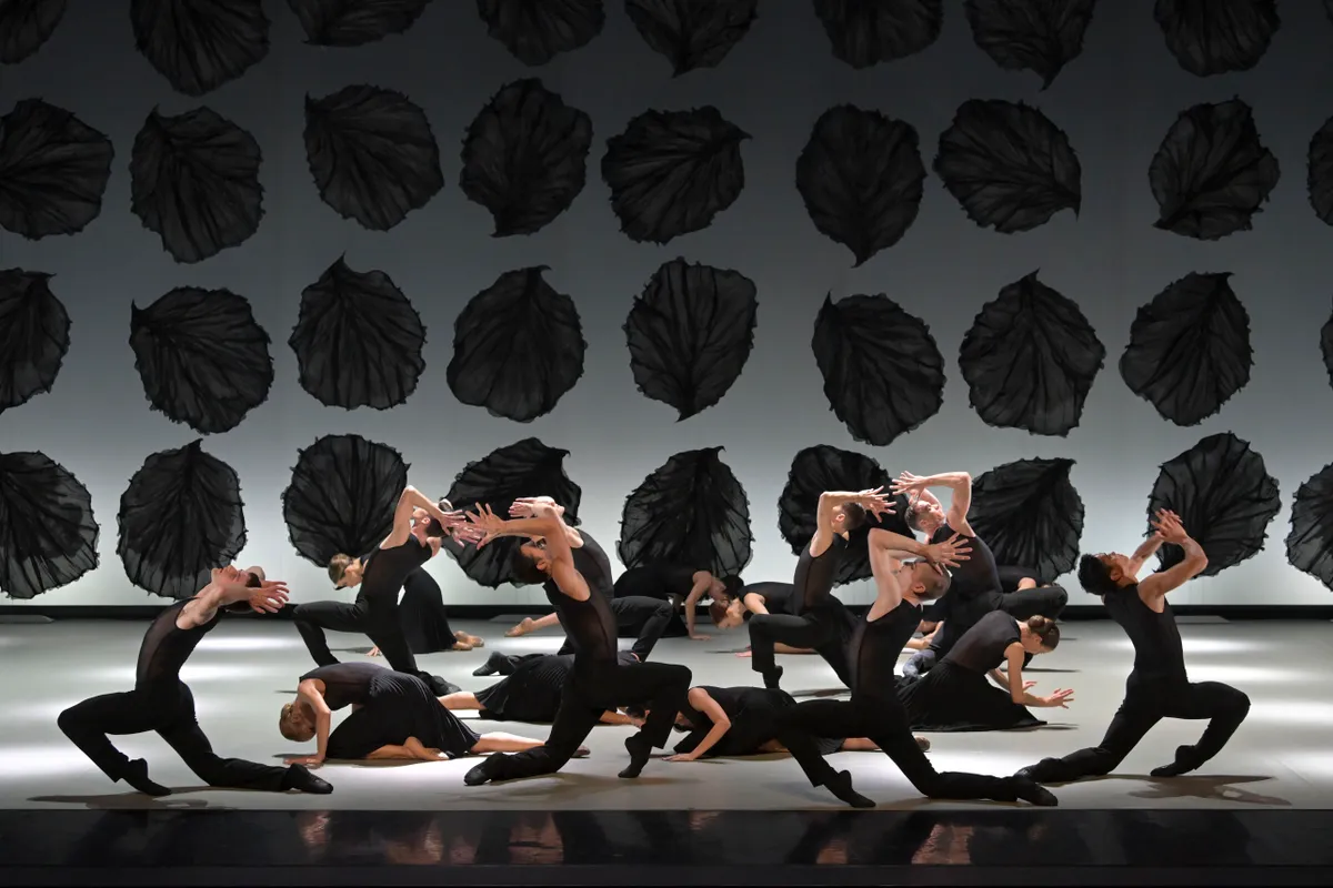 Vở ballet The Season lần đầu ti&ecirc;n được giới thiệu tại Việt Nam - Ảnh 2.