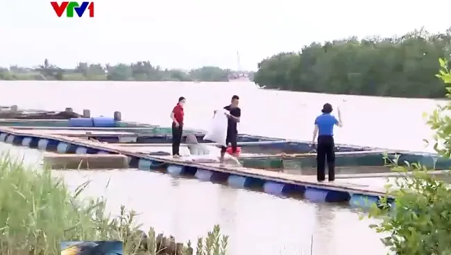 N&ocirc;ng d&acirc;n kiếm tiền tỷ từ nu&ocirc;i c&aacute; lồng - Ảnh 1.