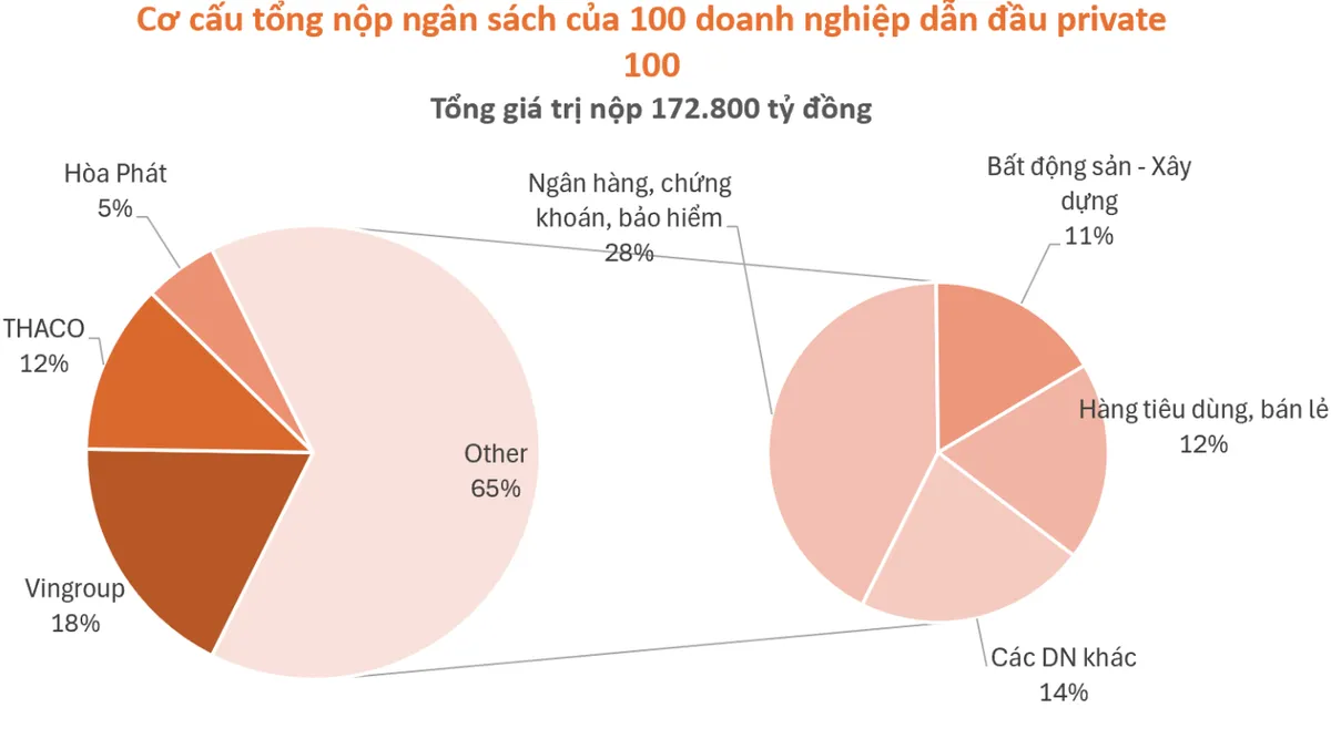 100 doanh nghiệp tư nhân nộp ngân sách hơn 170.000 tỷ đồng - Ảnh 1.