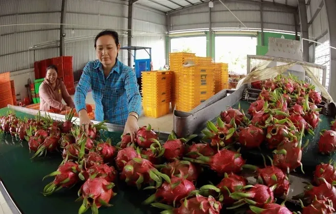 Đại sứ Phạm Sao Mai: Chuyến thăm của Tổng Bí thư, Chủ tịch nước Tô Lâm đến Trung Quốc có ý nghĩa hết sức quan trọng - Ảnh 2.