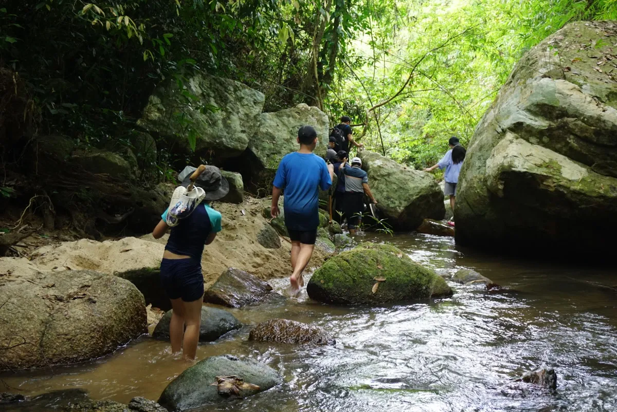 Về Làng Nhỏ - Hồ Láng Nhớt để trải nghiệm những điều dân dã và cảm nhận sự tôn trọng thiên nhiên - Ảnh 4.