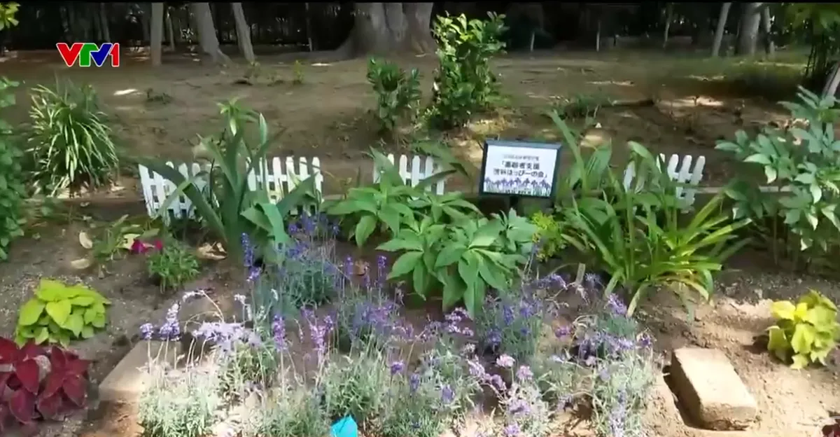 Nhật Bản cải tạo đất trống th&agrave;nh kh&ocirc;ng gian c&ocirc;ng cộng - Ảnh 1.