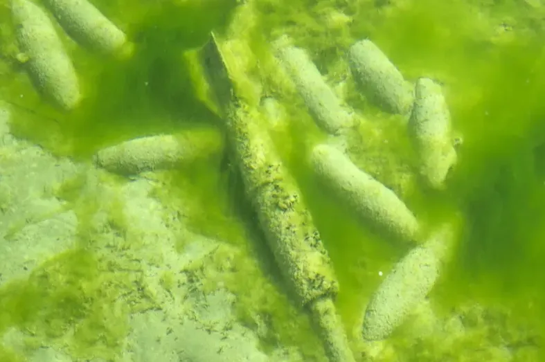 Thụy Sĩ treo thưởng cho s&aacute;ng kiến trục vớt đạn dưới hồ - Ảnh 1.