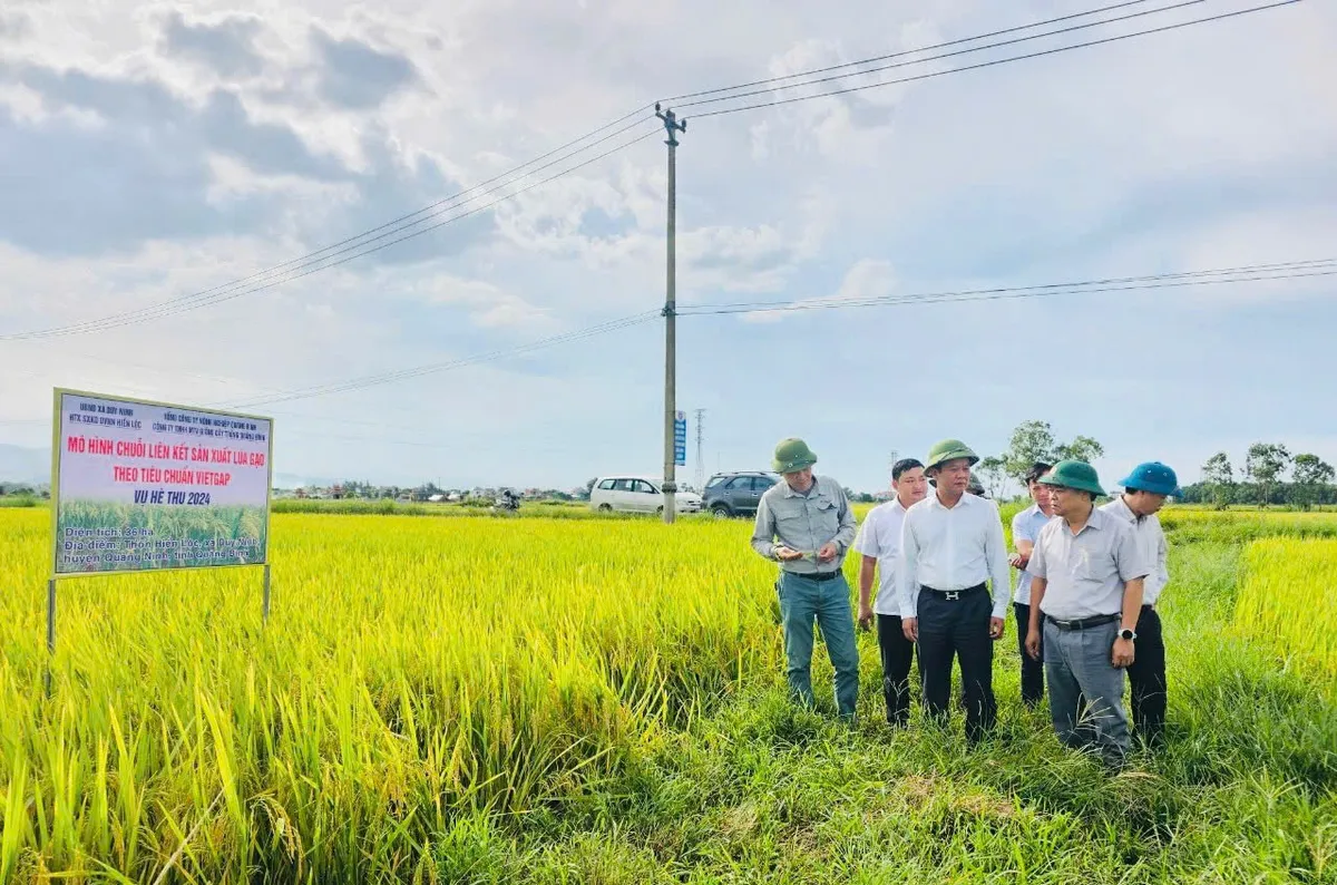 Quảng Bình: Nỗ lực tránh bỏ ruộng hoang vụ Hè – Thu - Ảnh 8.