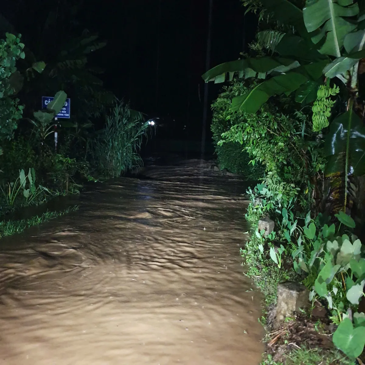 Ngập úng sau đêm mưa lớn tại huyện Văn Yên (Yên Bái) - Ảnh 2.