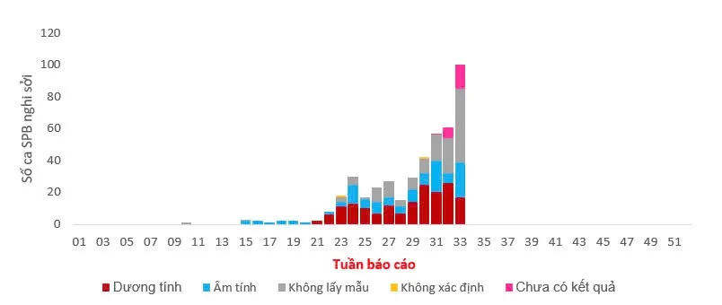 TP Hồ Chí Minh ghi nhận 100 ca sốt phát ban nghi sởi trong tuần qua - Ảnh 1. TP Hồ Chí Minh ghi nhận 100 ca sốt phát ban nghi sởi trong tuần qua - Ảnh 1.