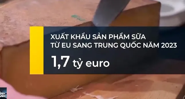 Bị áp thuế xe điện, Trung Quốc đưa ngành sữa EU vào tầm ngắm - Ảnh 1.