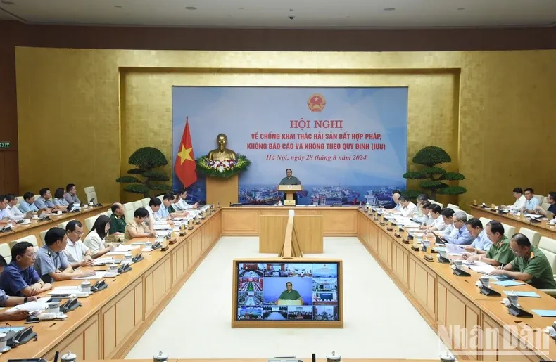Thủ tướng Phạm Minh Chính: Xử lý nghiêm trách nhiệm người đứng đầu trong chống khai thác IUU - Ảnh 1. Thủ tướng Phạm Minh Chính: Xử lý nghiêm trách nhiệm người đứng đầu trong chống khai thác IUU - Ảnh 1.
