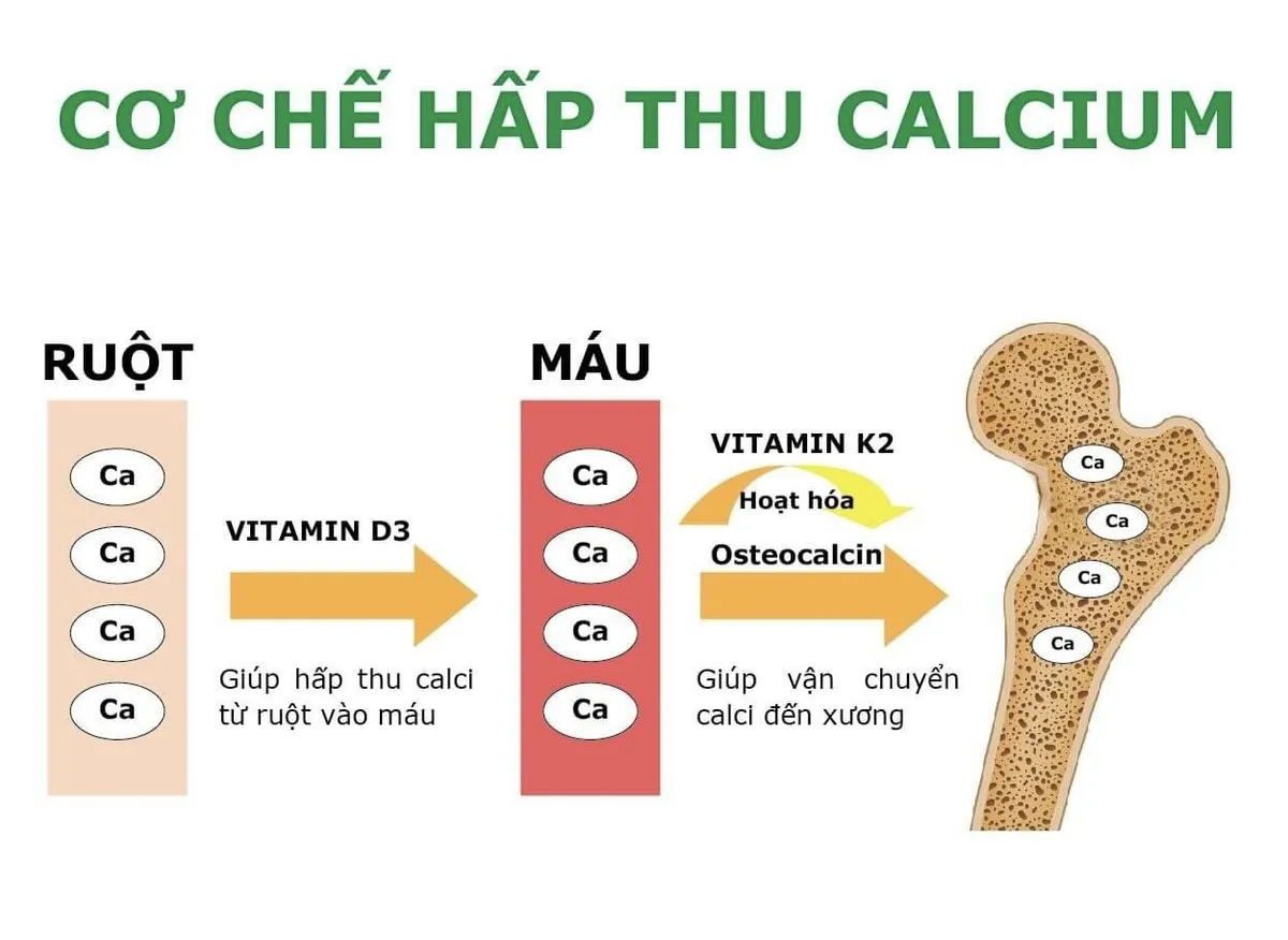 Nhu cầu bổ sung vitamin D3K2 ở trẻ em Việt Nam - Ảnh 1.