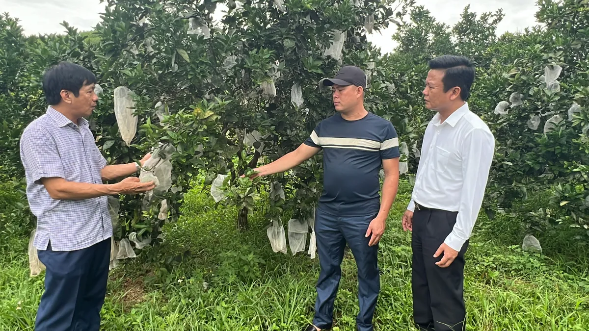 Nhiều giải pháp sinh kế thích ứng và giảm rủi ro thiên tai - Ảnh 3. Nhiều giải pháp sinh kế thích ứng và giảm rủi ro thiên tai - Ảnh 3.