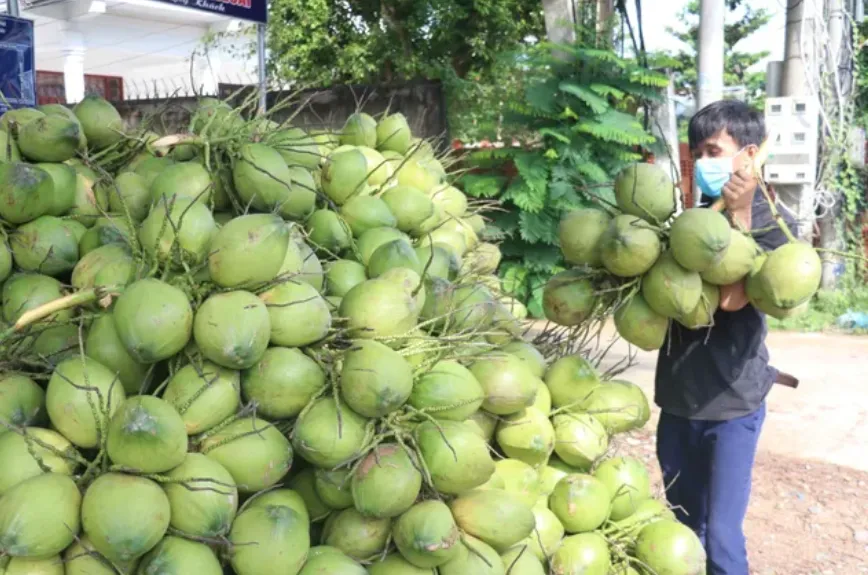 Hỗ trợ kết nối tiêu thụ nông sản Việt - Ảnh 2.